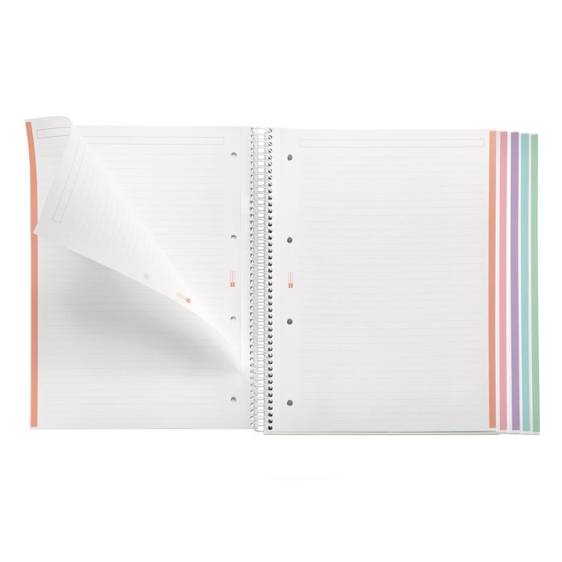 8422593485712-Notebook Emotions, couverture souple, A4 lignes horizontales 7 mm, 120 feuilles de 5 couleurs, Miquelri--2