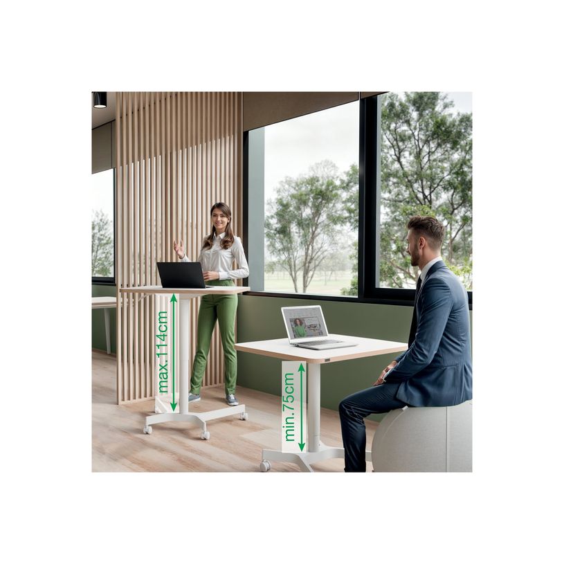 4002432138395-Leitz Ergo Small - Bureau assis/debout - reglage manuel - blanc-P_405242224_10-9