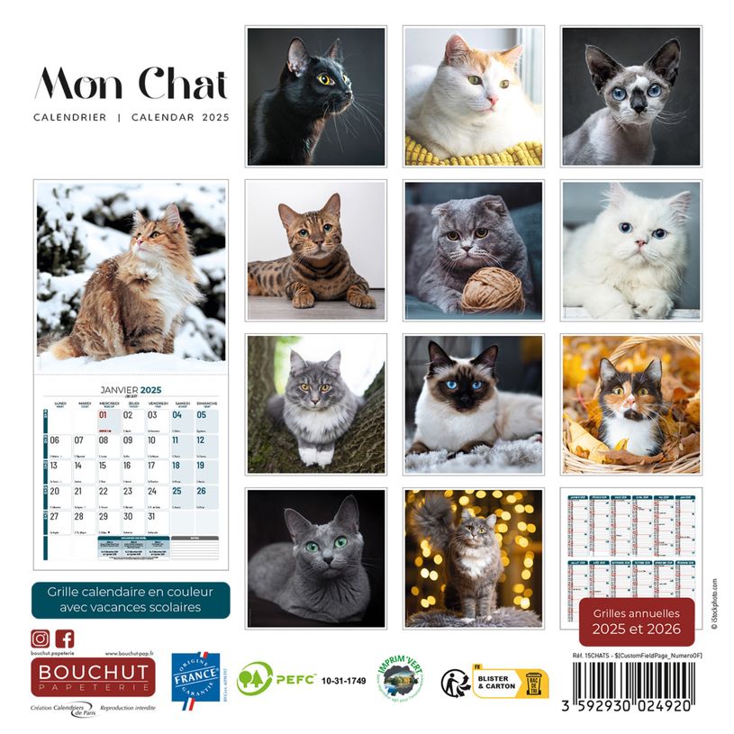 3592930027211-Calendrier illustré BOUCHUT 15 x 15 cm MON CHAT 70 %-P_79409613_11-2