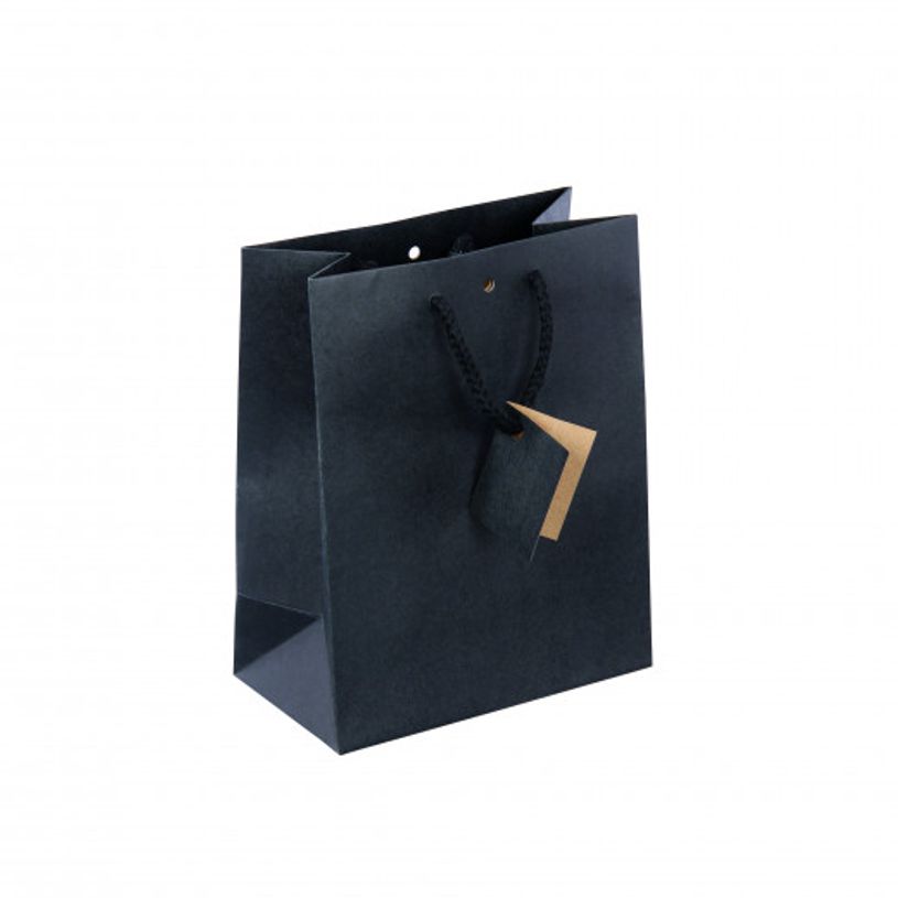 3700481665312-Logistipack - Sac cadeau kraft - poignées cordelières - 18 cm x 10 cm x 22,7 cm - noir-P_79420065_1-0