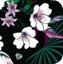 fleurs